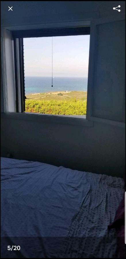 סאן תאודורו Villa Nel Villaggio Costa Caddu San Teodoro מראה חיצוני תמונה